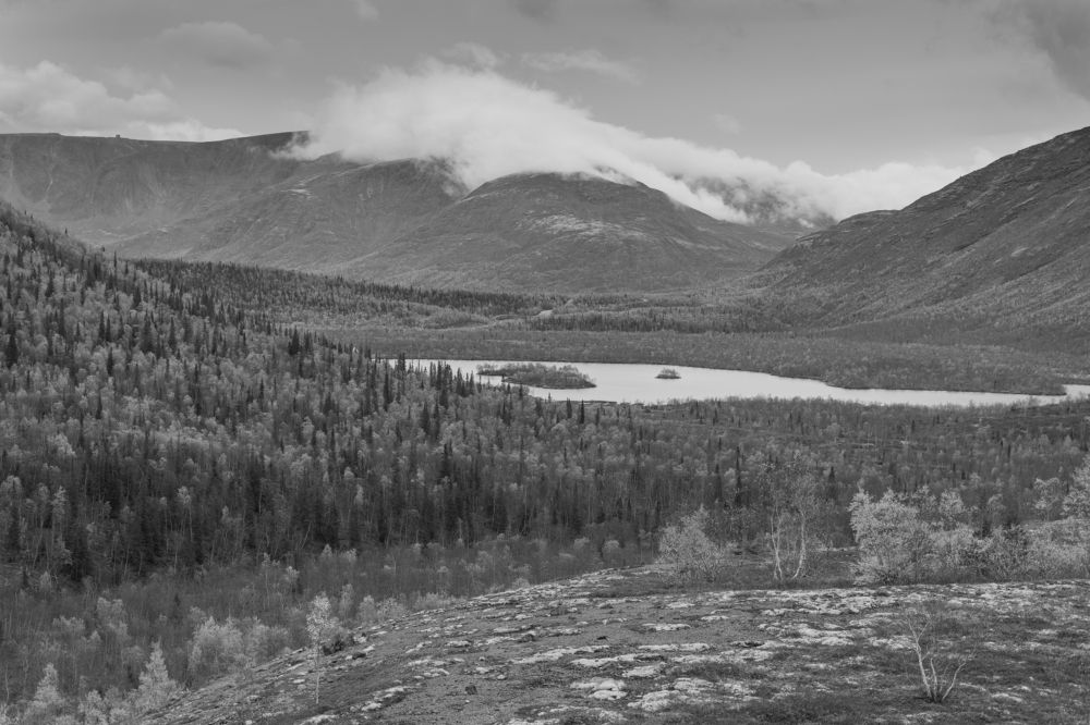 Photograph by Полина Артемина