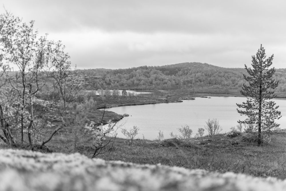 Photograph by Полина Артемина