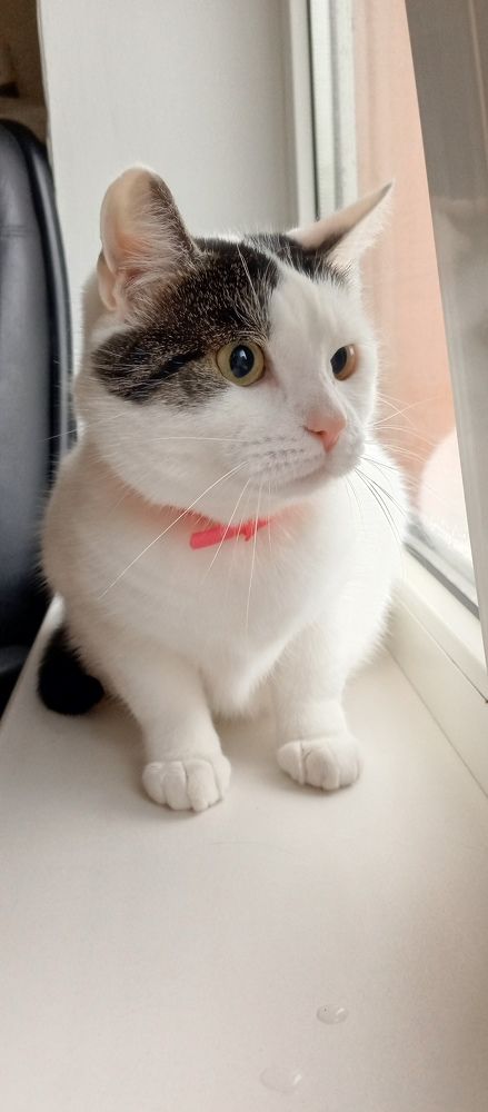 Photo #11508317