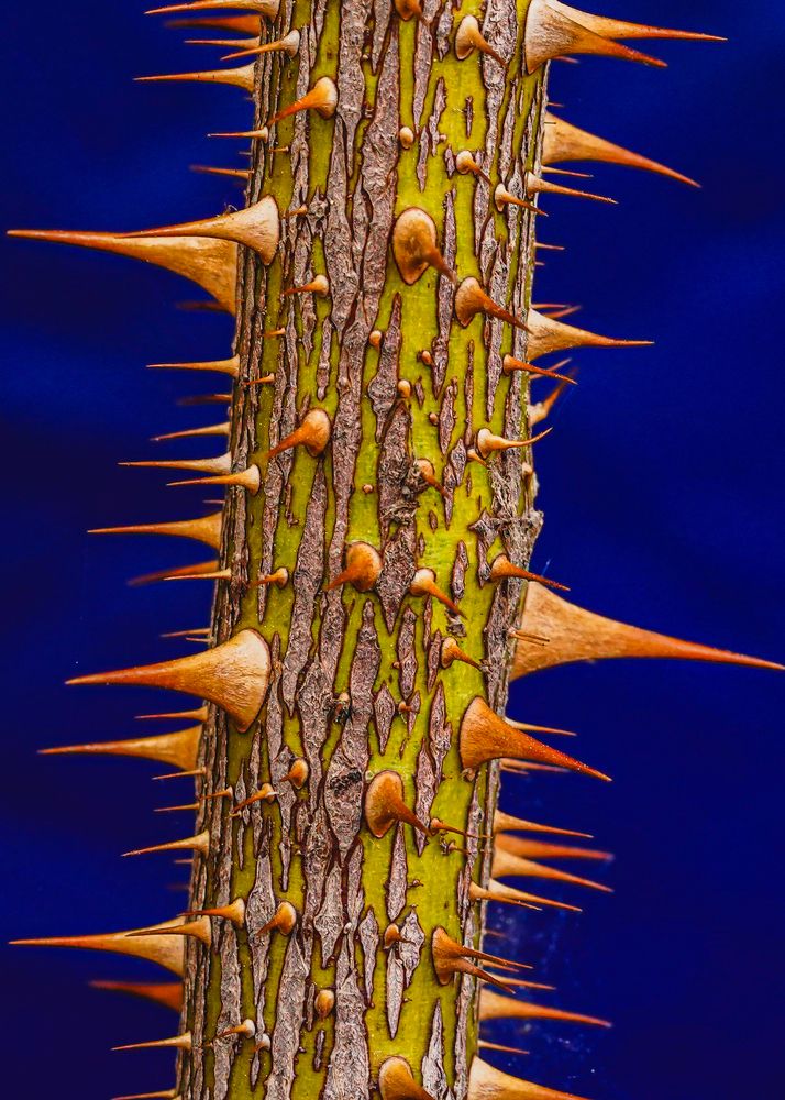 Photograph by kamran shirani