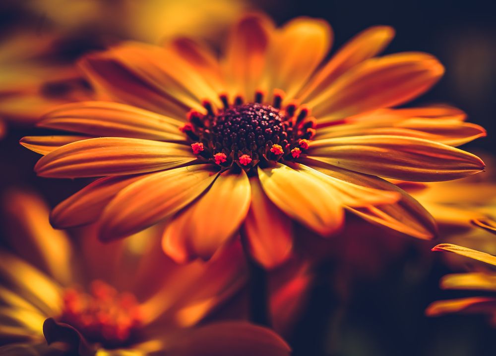 Photograph by kamran shirani