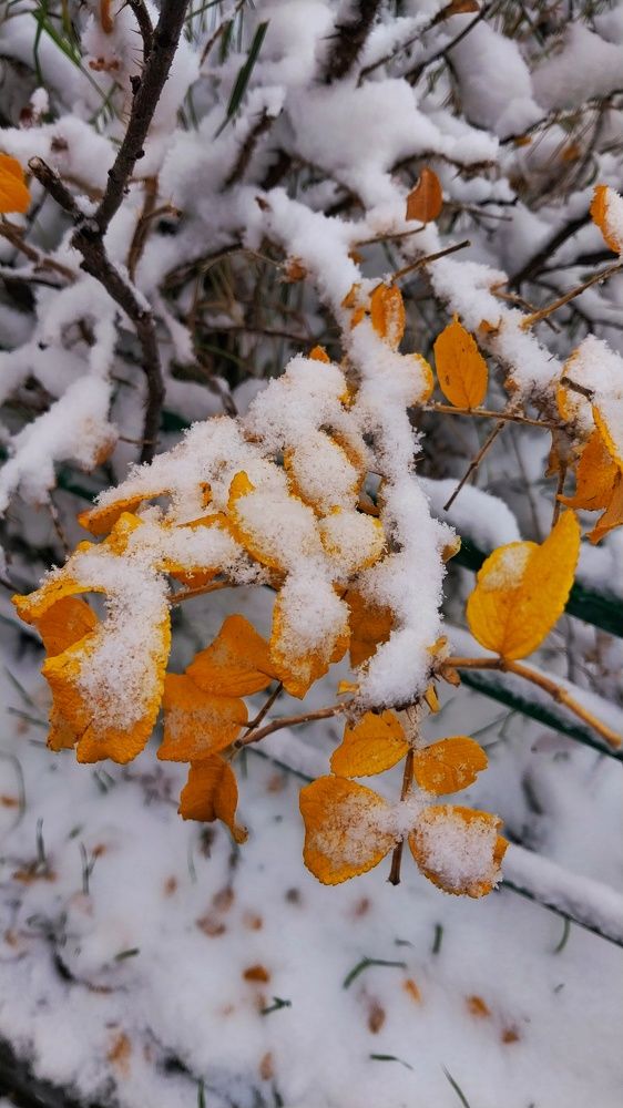 Photograph by Людмила Липаткина