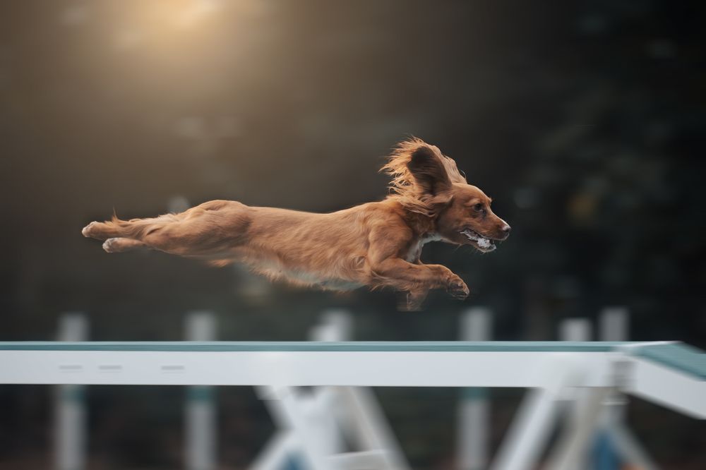 Photograph by Noa Táboas