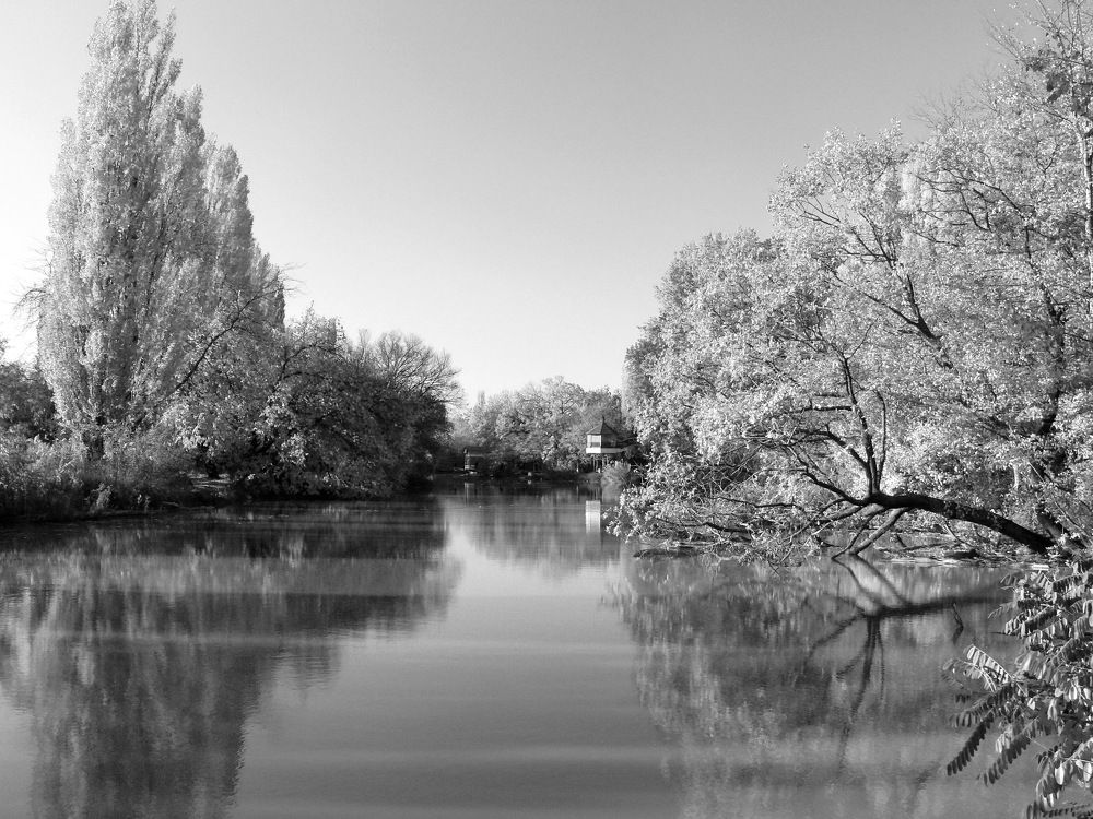 Фотография автора Сергей Кульков