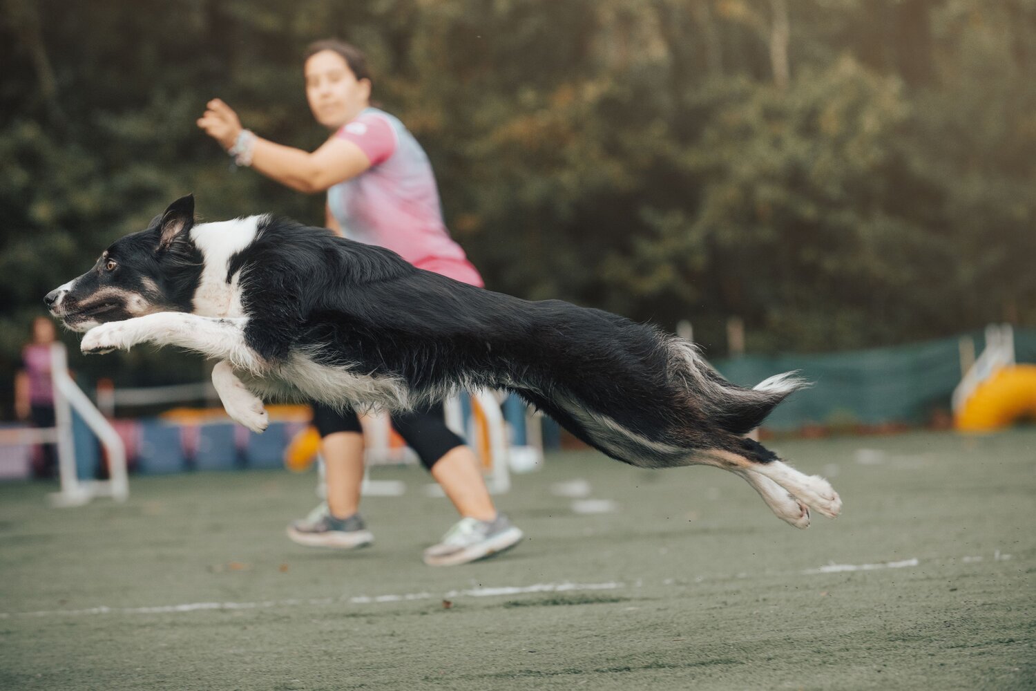 Photo #11508460