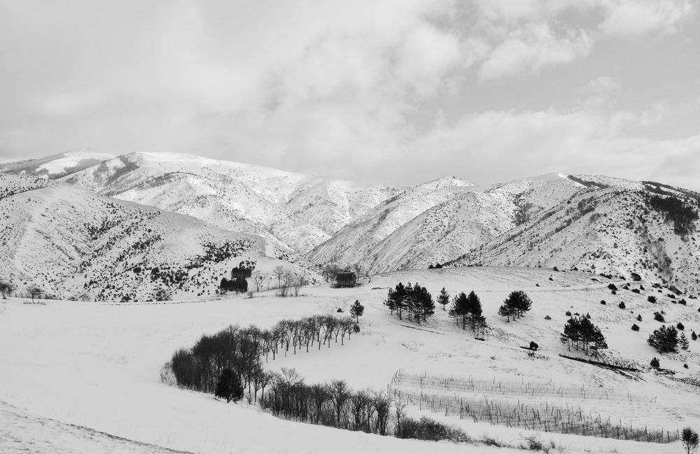 Photograph by Olja Simovic