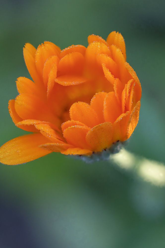 Photograph by Надежда Зайцева