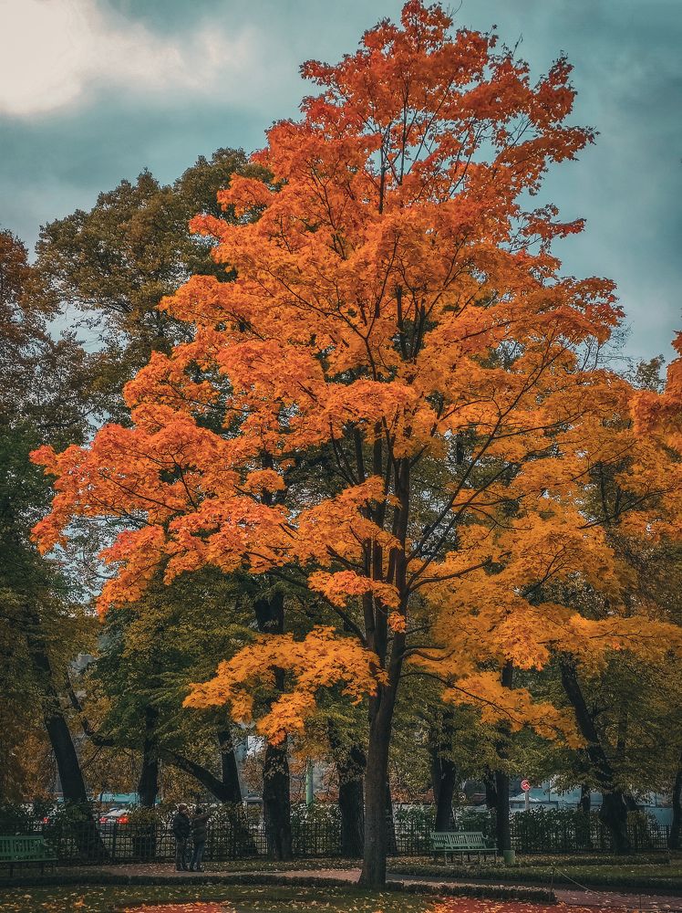 Photograph by Erika Checherina