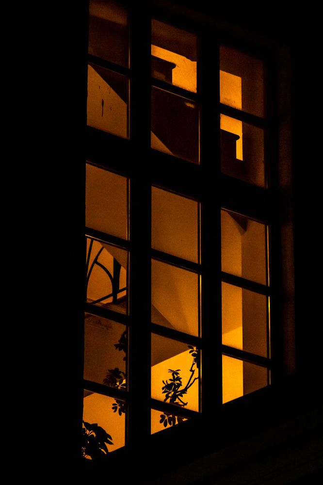 Photograph by Елена Барышева