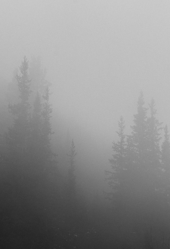 Фотография автора Владимир Широкий