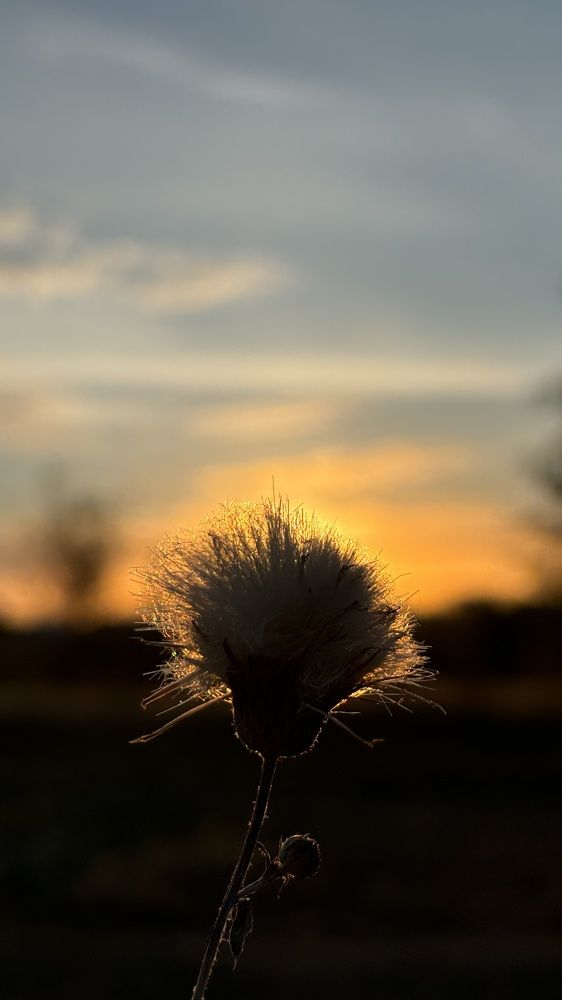 Photograph by Елена Гущина