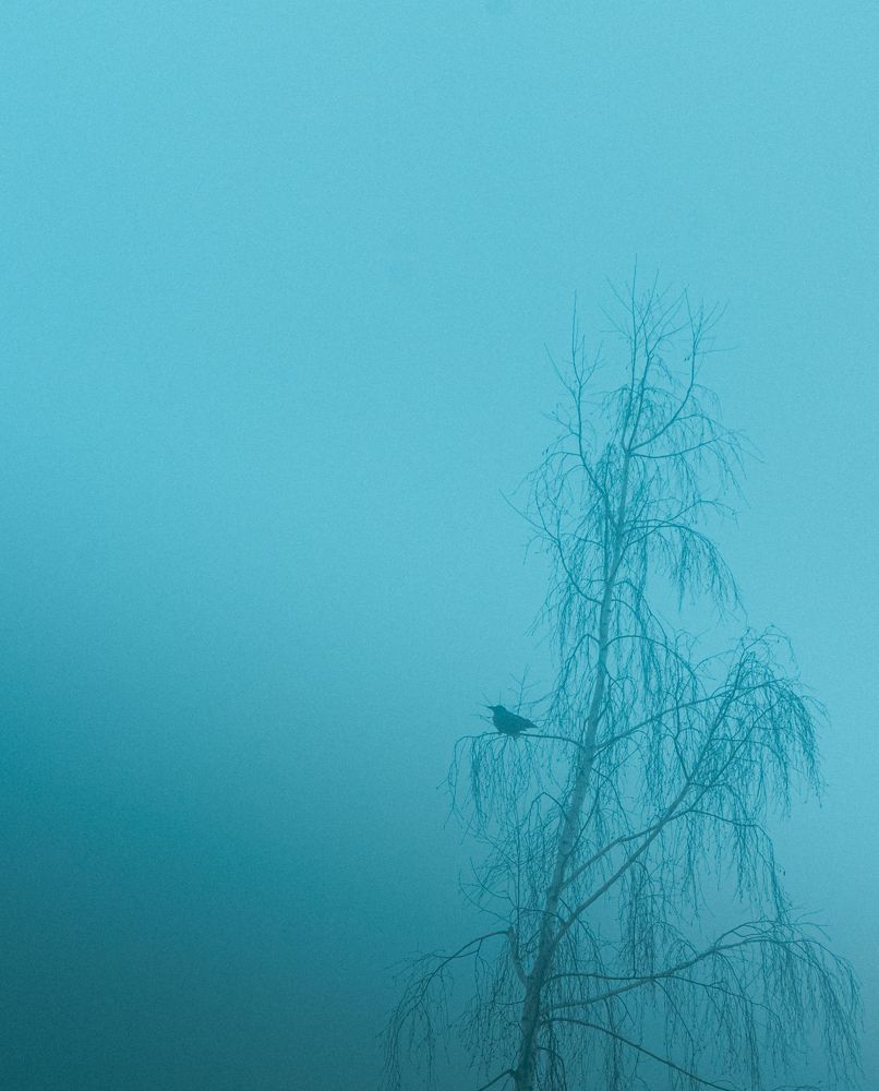 Фотография автора Владимир Широкий