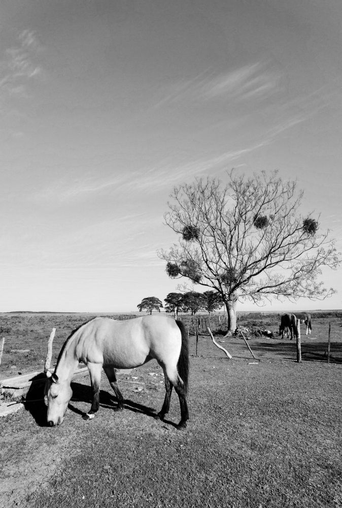 Photograph by Сергей Аверченко