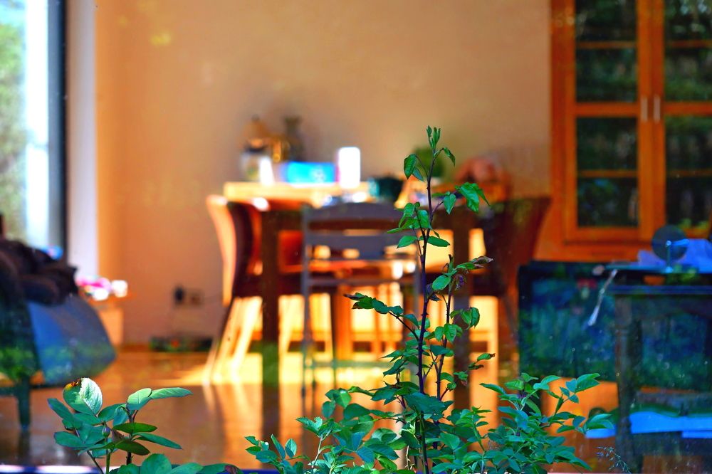 Photograph by Владимир Лобанов