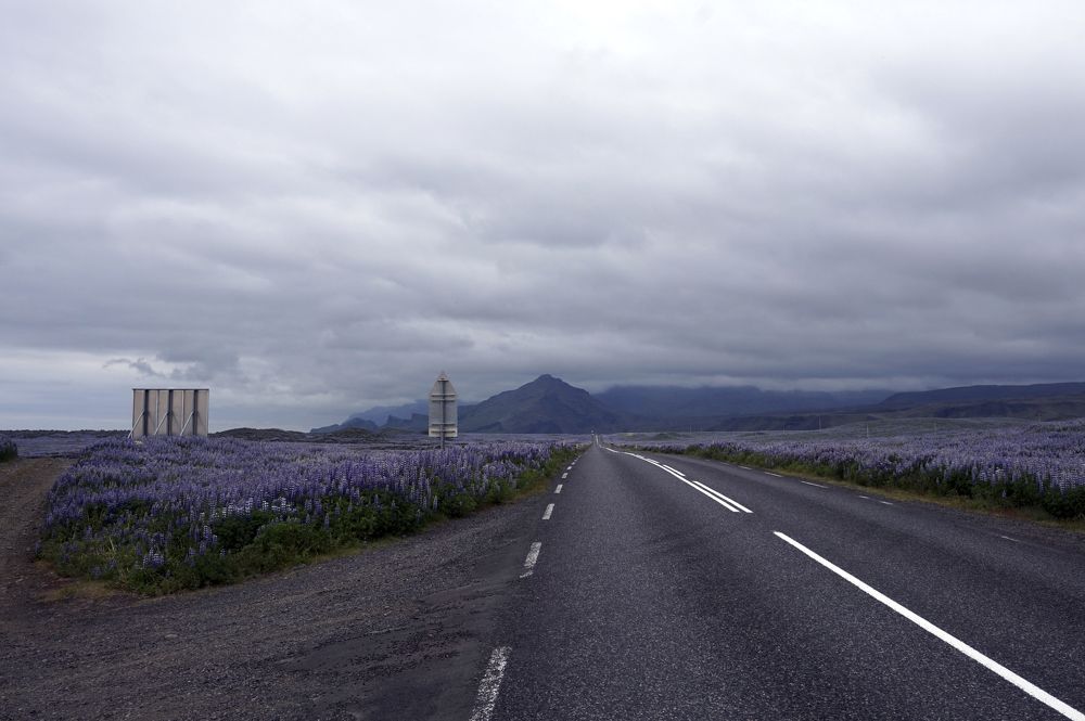 Photograph by Лена Максимкина