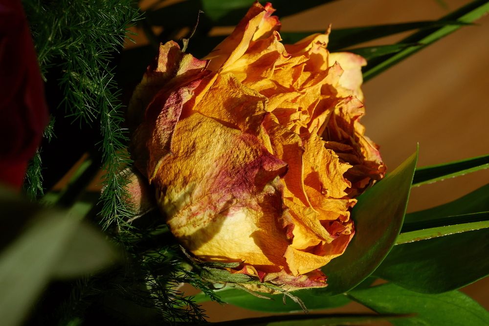 Photograph by Владимир Лобанов