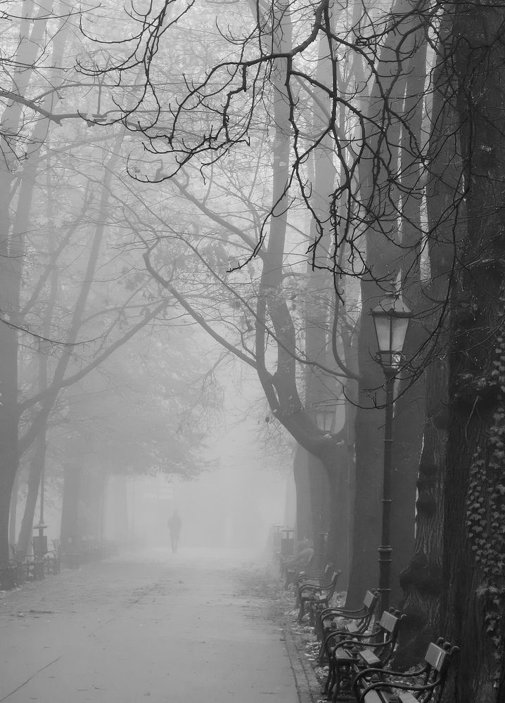 Photograph by Paulina Michałowska