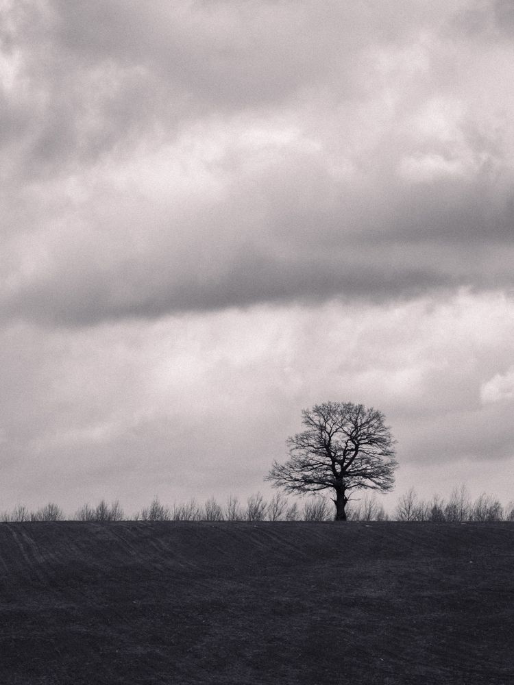 Photograph by Liudmila Kirillova