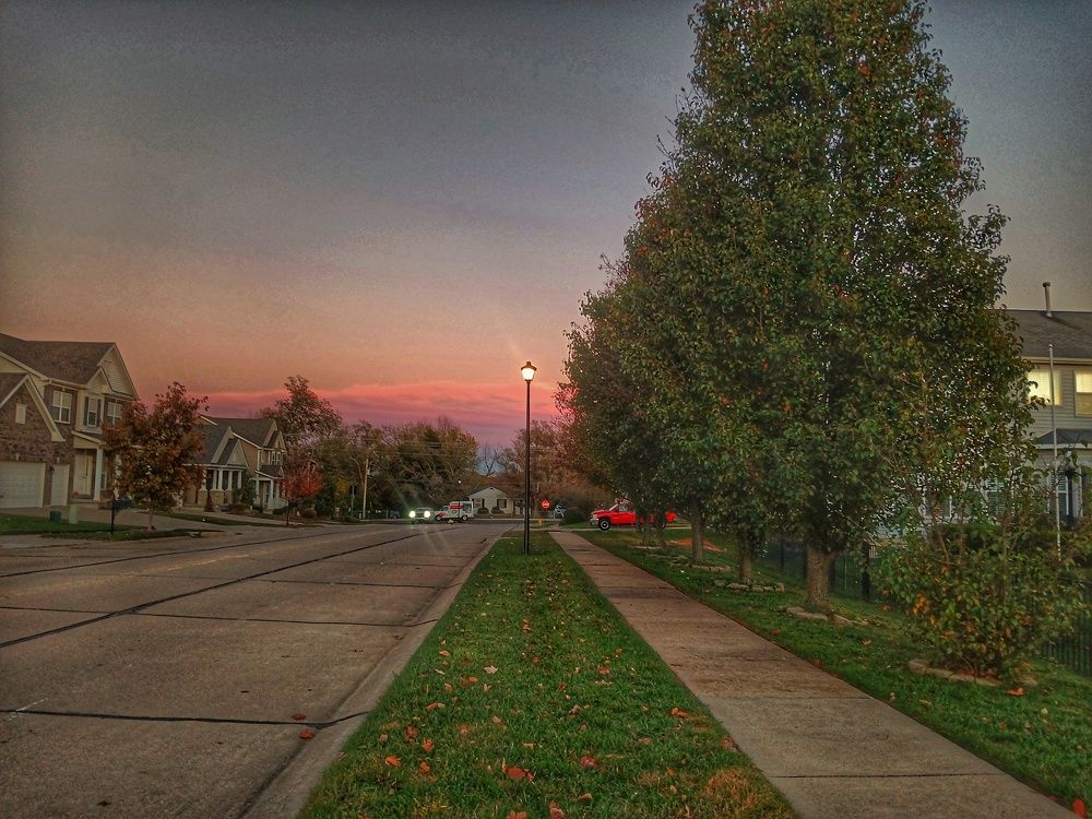Photo #11508775