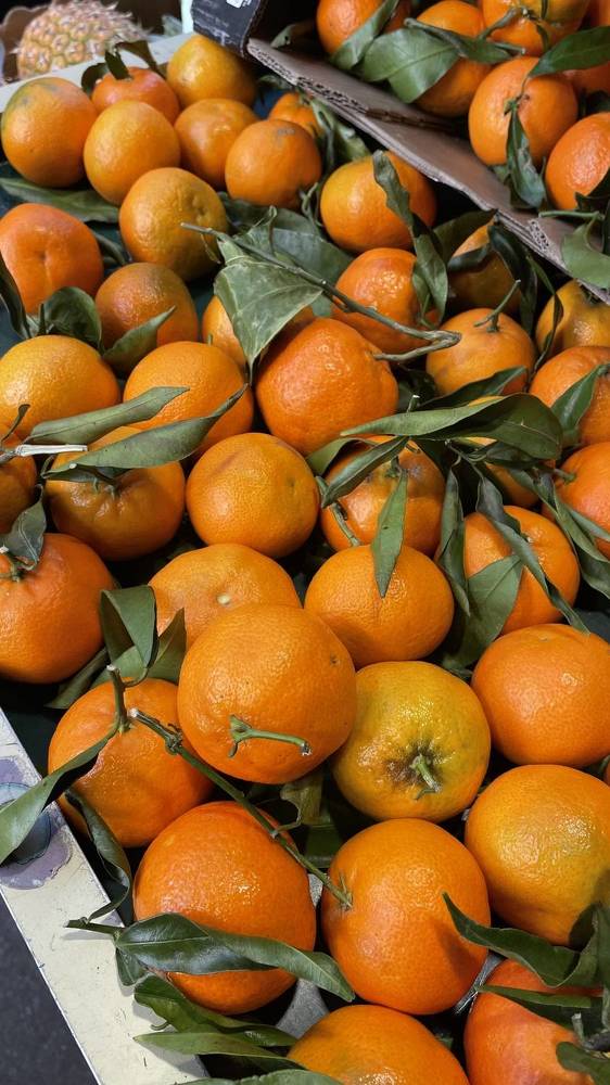 Photograph by Людмила Казак