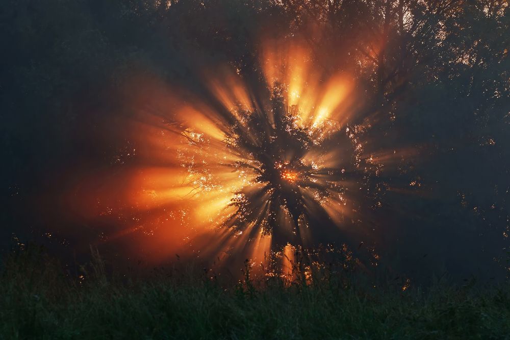 Photograph by Елена Ворошина