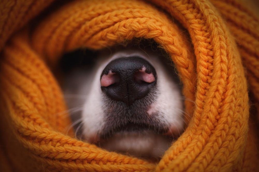 Photograph by Евгения Костусева