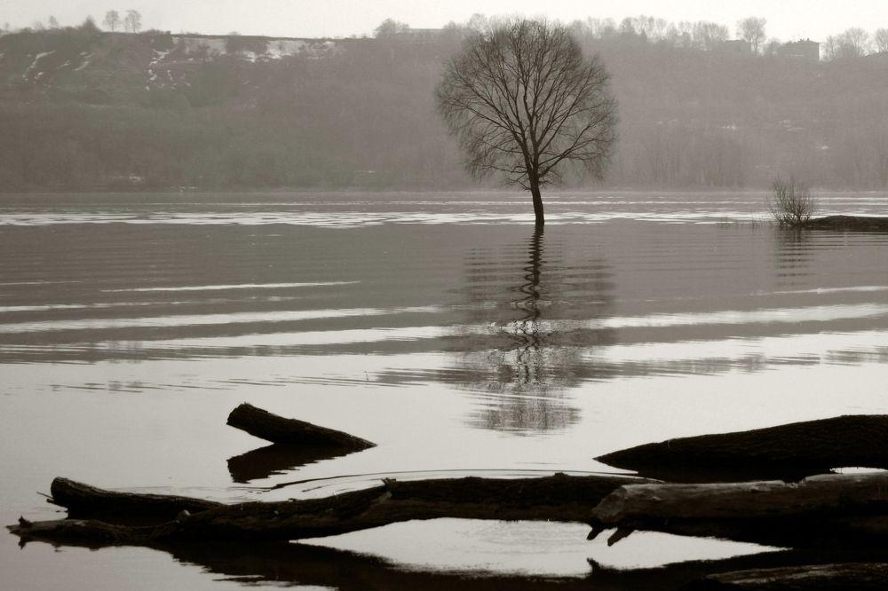 Photograph by Ирина Архипова