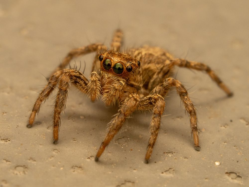 Фотография автора Sercan Özyurt