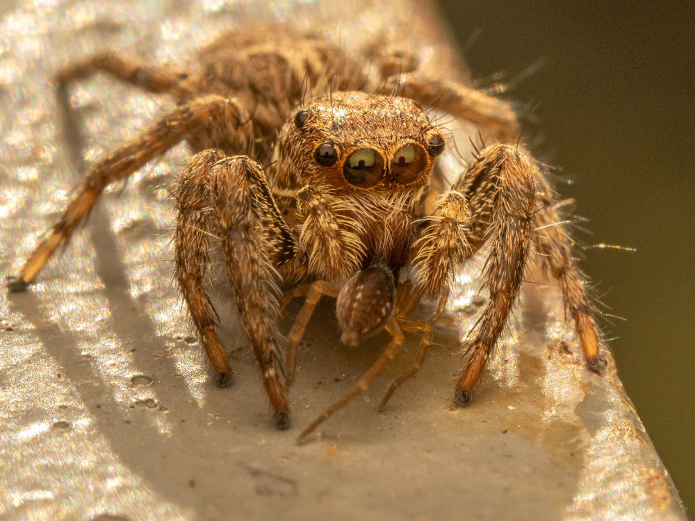 Фотография автора Sercan Özyurt