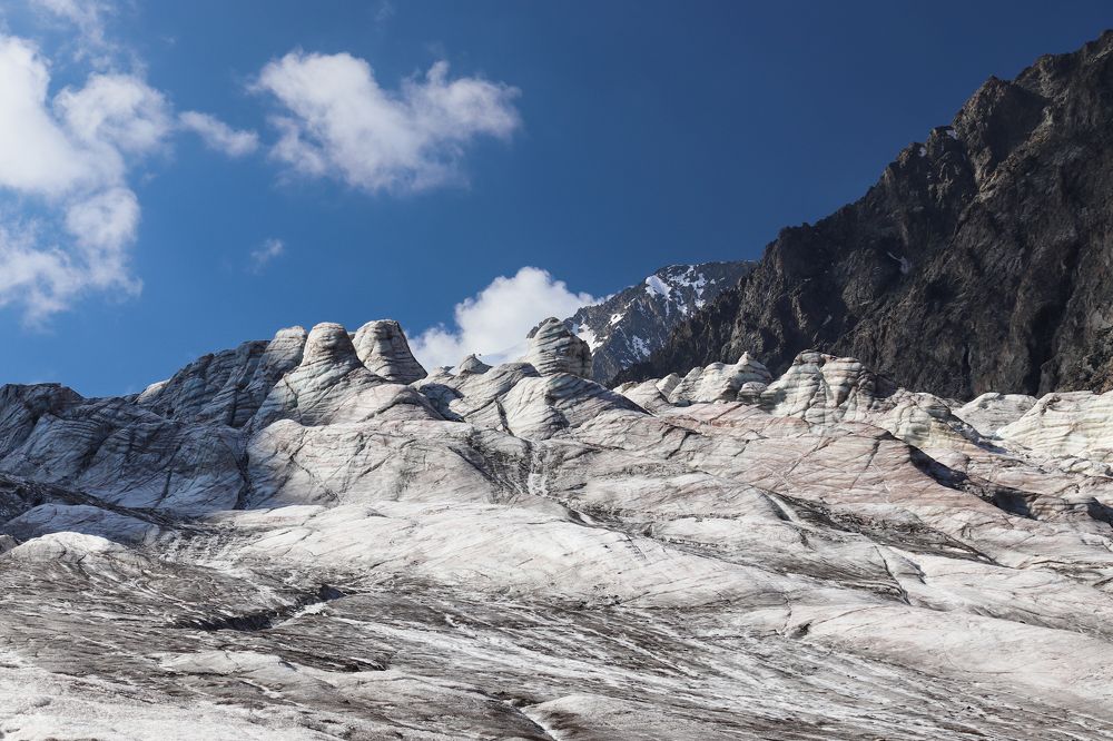 Фотография автора Анастасия Тараканова