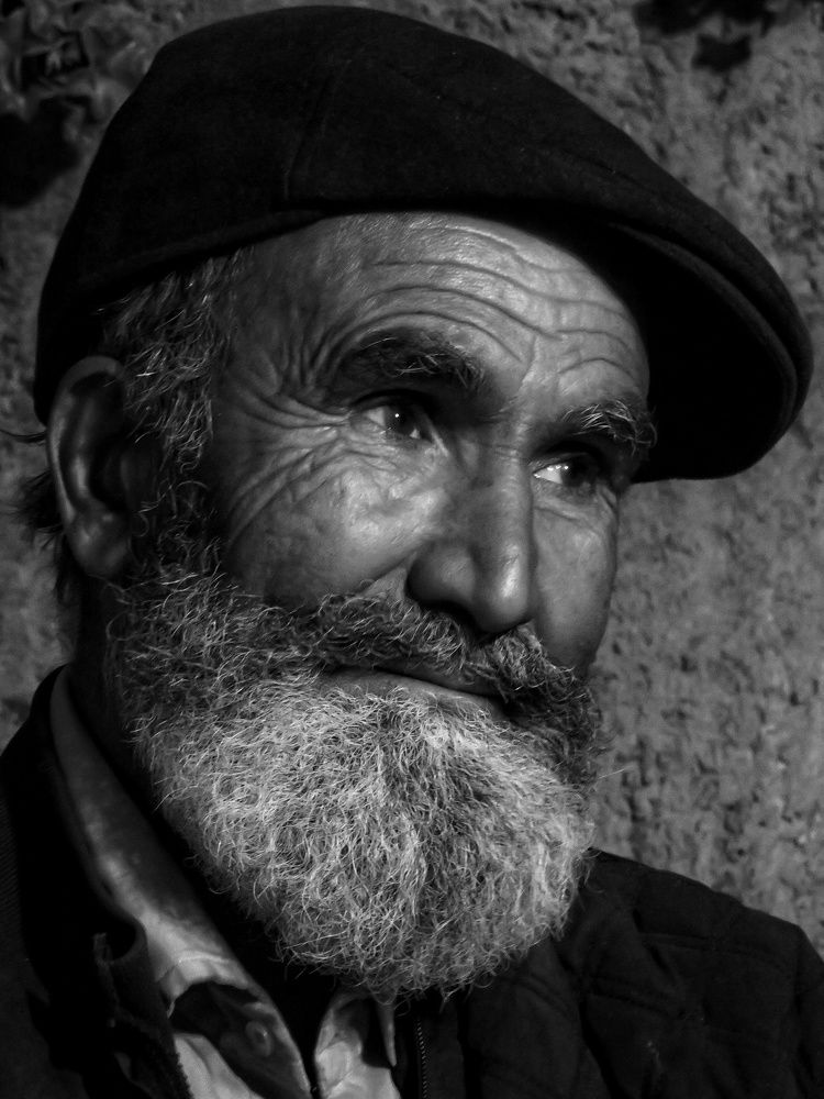 Фотография автора Mahdi Mohammadi