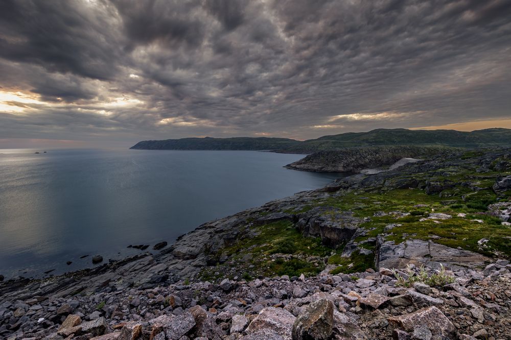 Photograph by Алексей Широбоков