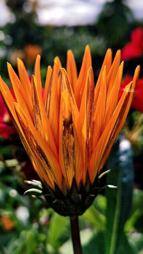 Photograph by Наталья Анисимова