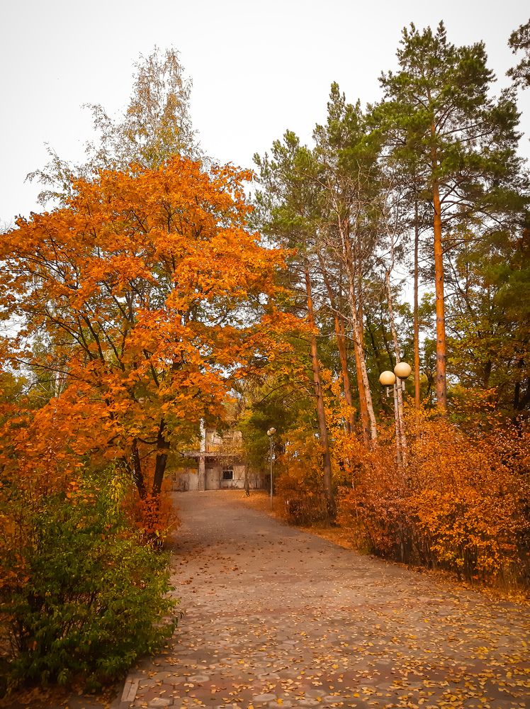Photograph by Юлия Закопайло