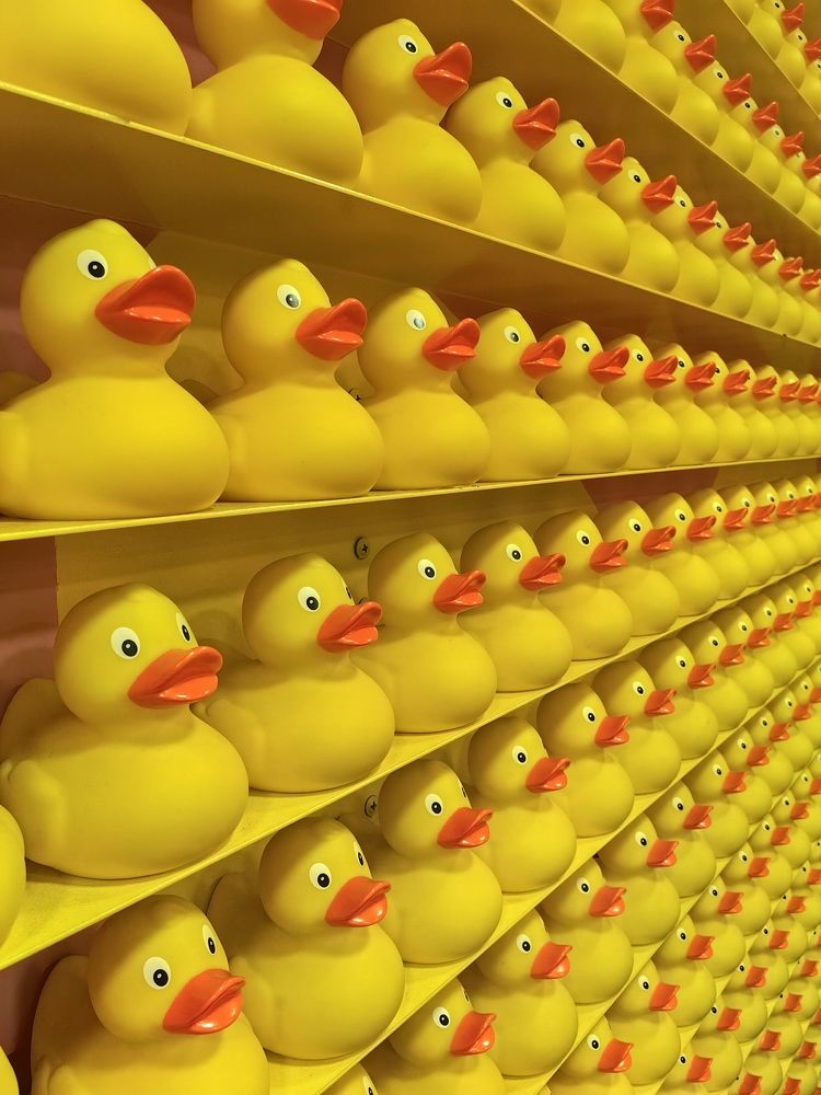 Photograph by Анастасия Доронкина