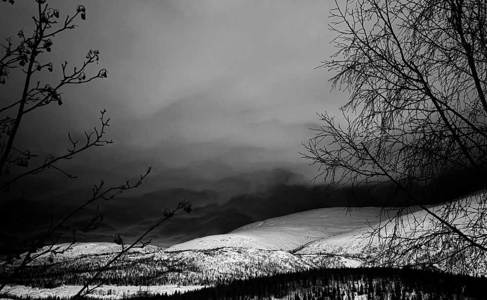 Photograph by Елизавета Нефедова