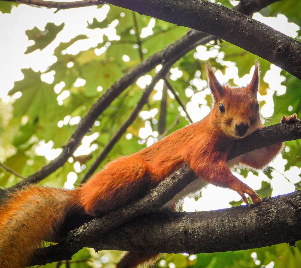 Photograph by Юлия Закопайло