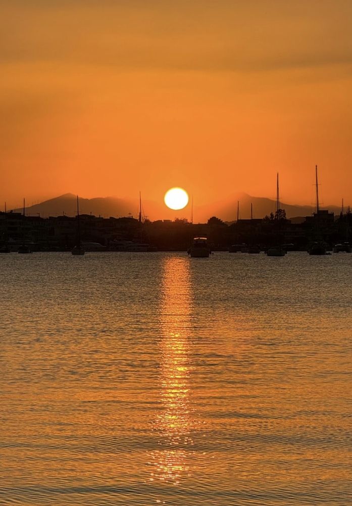 Photograph by Теодора Милекич