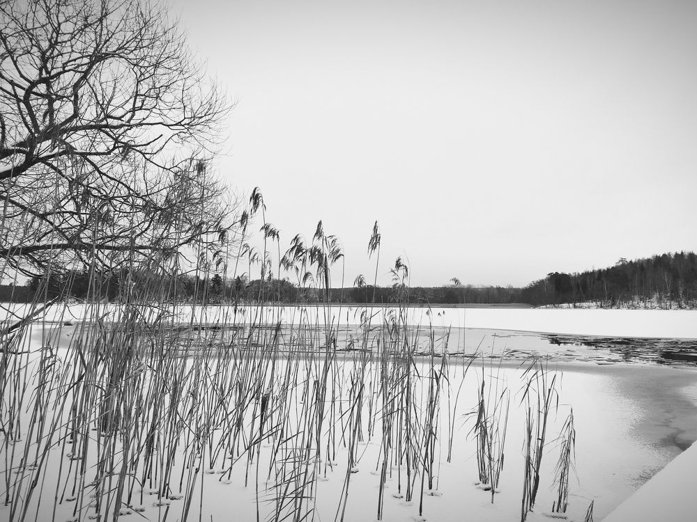 Photograph by Елизавета Хляпова