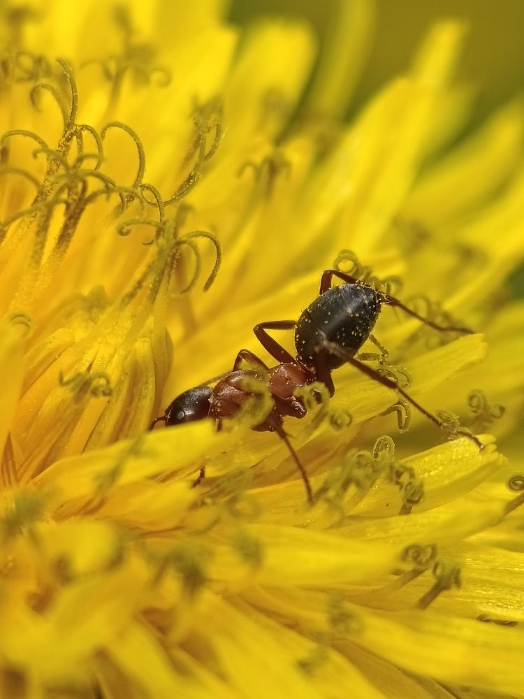 Photograph by Yuliya Karpova