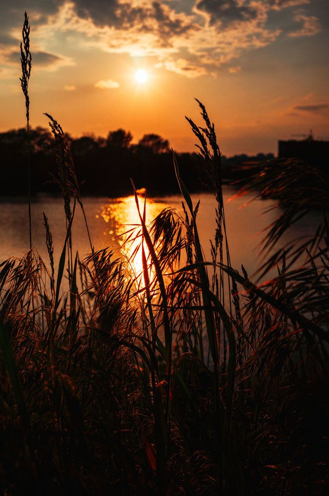 Photograph by Валентина Михайлова