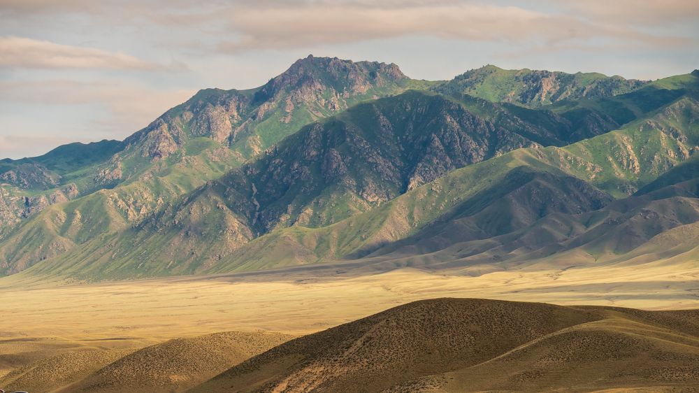 Фотография автора Роман Павлов