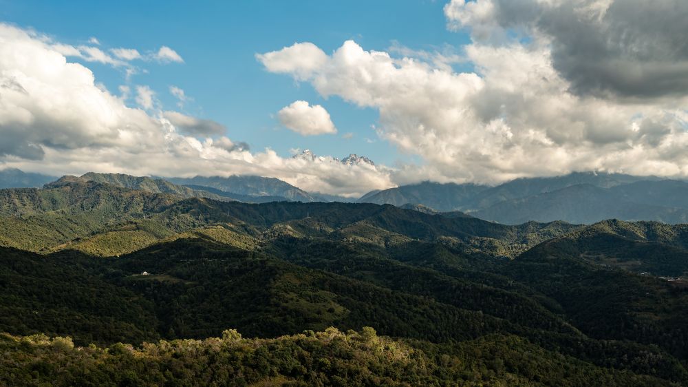 Фотография автора Роман Павлов