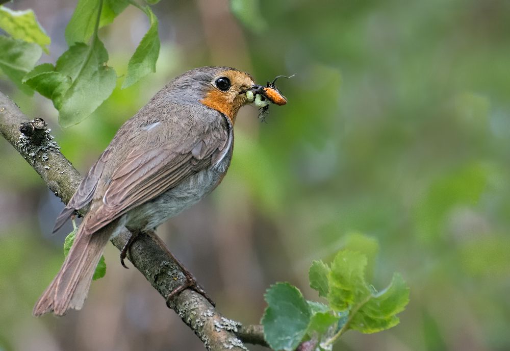 Photograph by Олег Тыркин