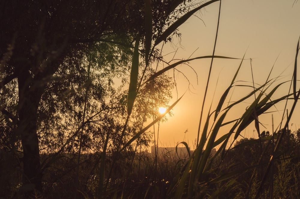 Photograph by Валентина Михайлова