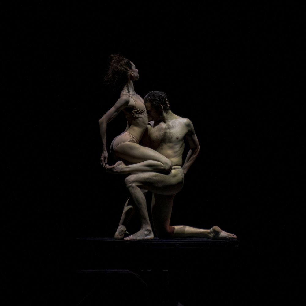 Photograph by Mostafa Moradi