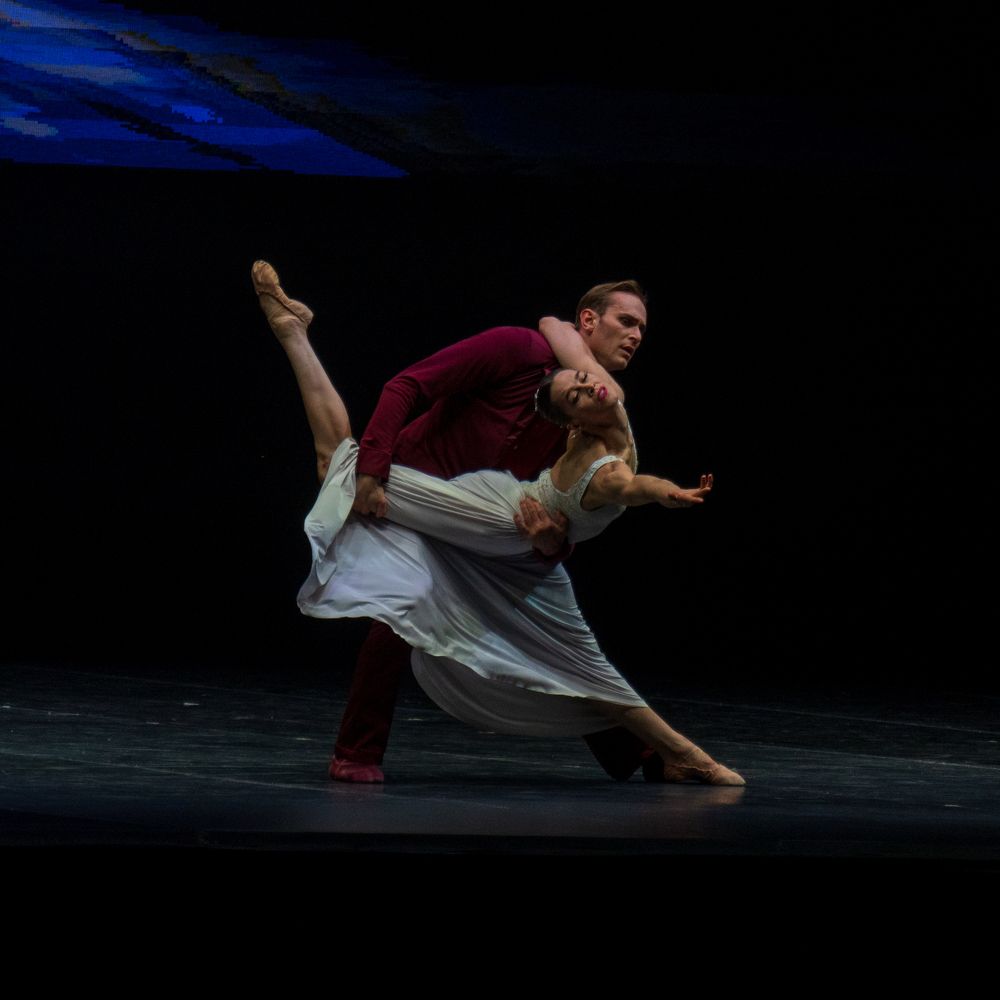 Photograph by Mostafa Moradi