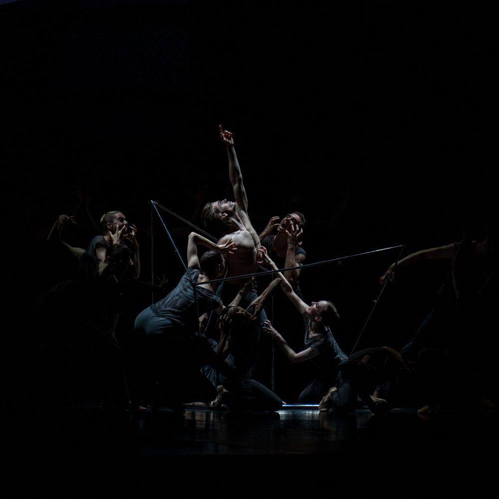 Photograph by Mostafa Moradi