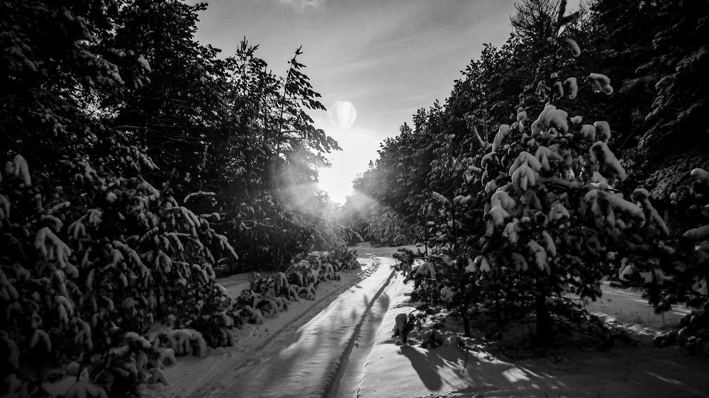 Once upon a winter morning