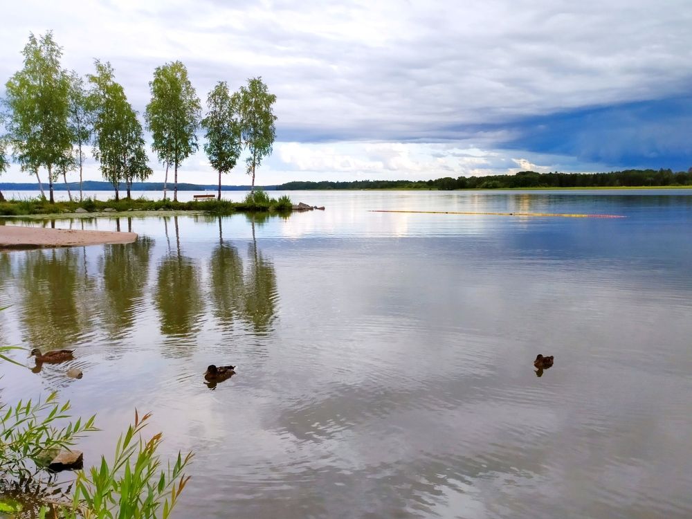 Photograph by Елизавета Хляпова